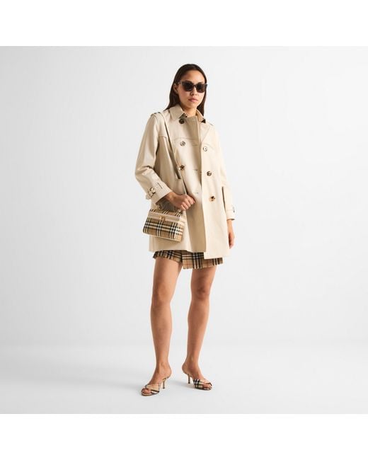 Burberry Brown Cat Eye Sunglasses