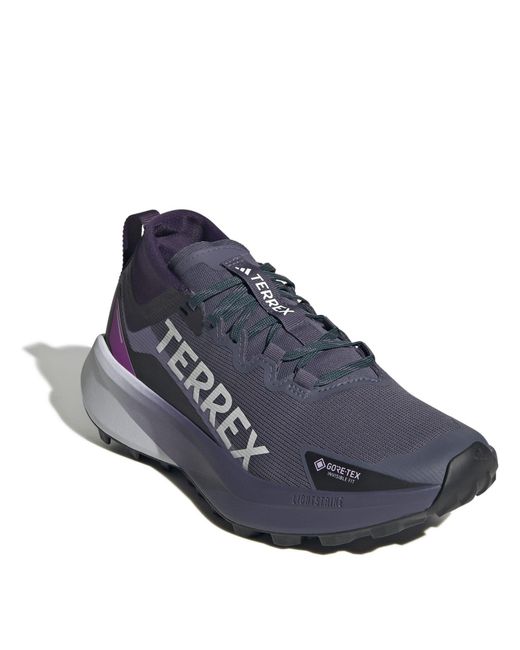 Adidas Blue Terrex Agravic Gtx Trail Running Shoes