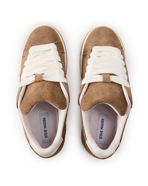 Steve Madden Brown Alysha Low Top Trainers