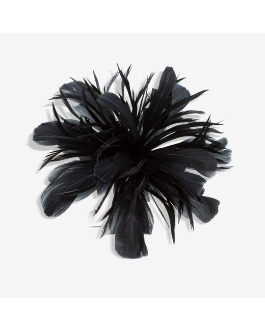 Jon Richard Black Statement Floral Clip Fascinator