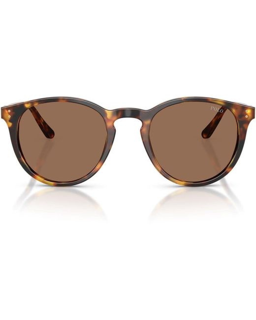 Polo Ralph Lauren Brown Shiny Semi Trasp 0Ph4110 Phantom Sunglasses for men