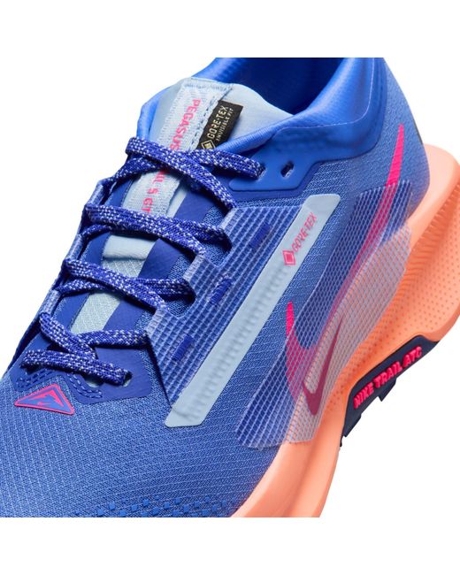 Nike Blue Pegasus Trail 5 Gore-Tex Running Shoes