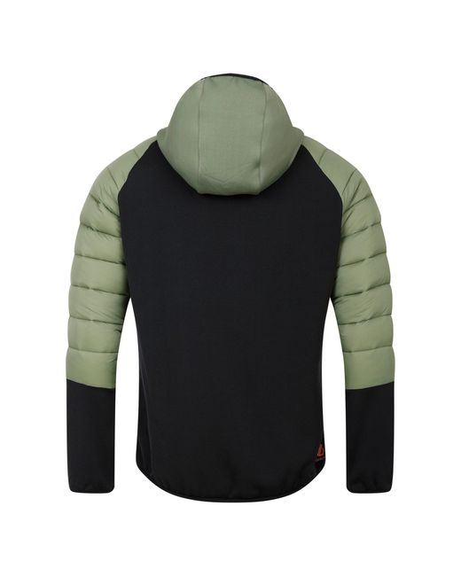 Dare 2b Multicolor Torrekhybrid Insulated Puffer Jacket for men