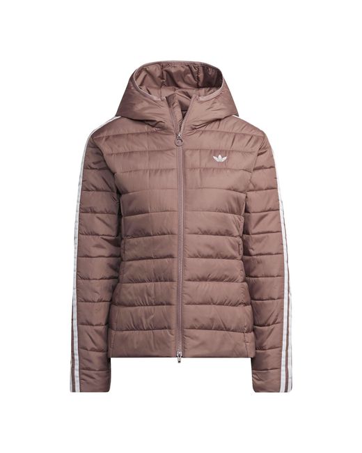 Adidas Originals Brown Premium Slim Hooded Long Sleeve Slim Fit Short Puffer Jacket