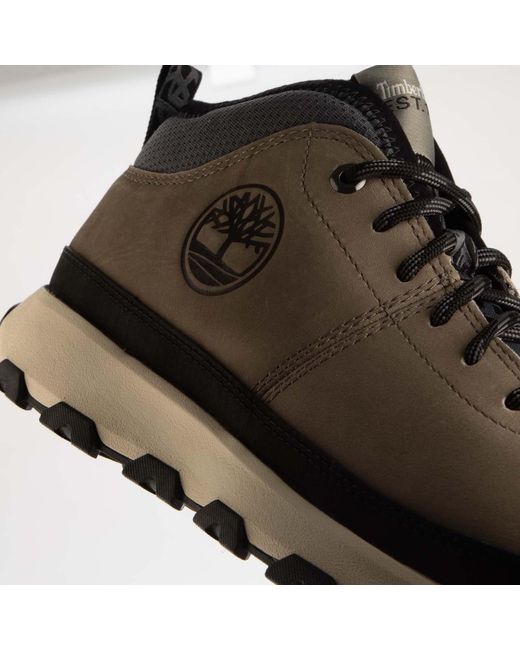 Timberland Brown Winsor Trail Mid Lace Trainers for men