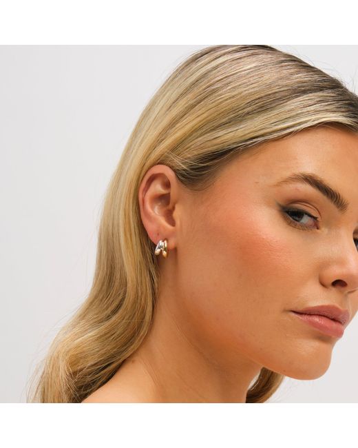 Jon Richard Metallic Two Tone Double Row Hoop Earrings