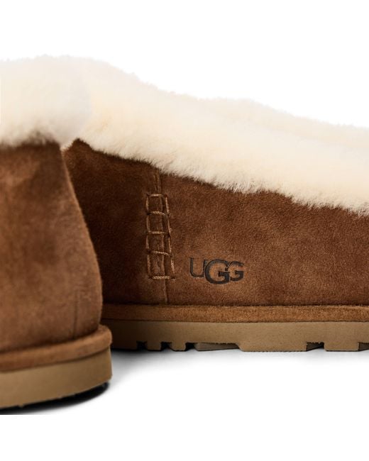 Ugg Brown Zora Ballet Flat Ld64