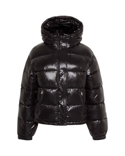Calvin Klein Black Quilted Short Puffer Jacket