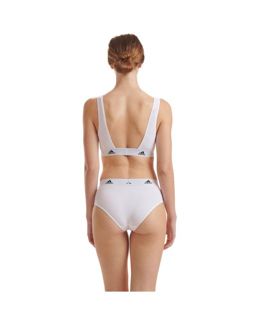 Adidas Purple Tai Full Brief Underwear