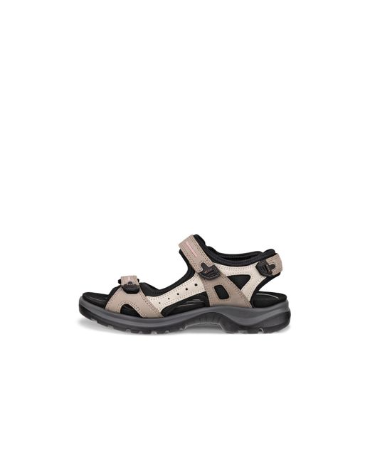 Ecco Brown Seasonal Walking Sandals