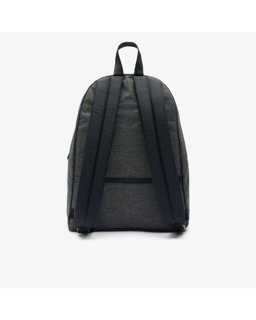 Lacoste Gray Designer Backpack for men