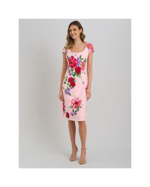 Gina Bacconi Red Rayna Floral Sheath Dress