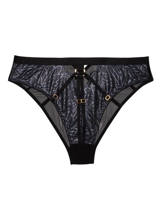 Playful Promises Black Tabitha Wet-Look Lace High Waist Brief