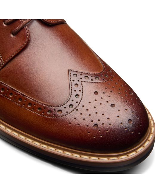 Clarks Brown Brogues for men