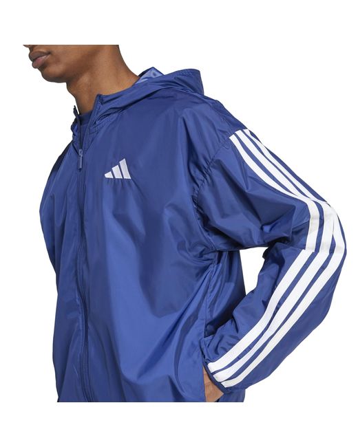Adidas Blue Windbreaker for men