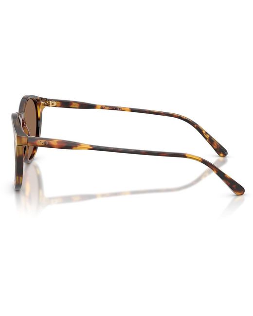 Polo Ralph Lauren Brown Shiny Semi Trasp 0Ph4110 Phantom Sunglasses for men