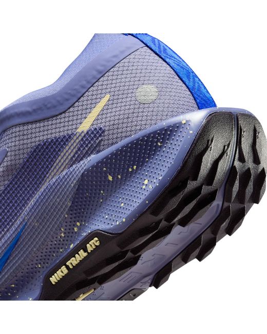 Nike Blue Pegasus Trail 5 Gore-Tex Running Shoes