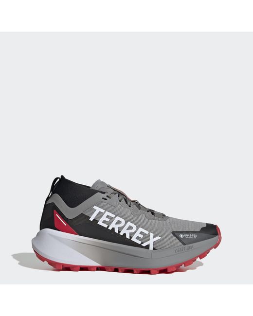 Adidas Blue Terrex Agravic Gtx Trail Running Shoes