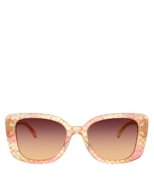 COACH Pink 0Hc8450U Oversized Sunglasses