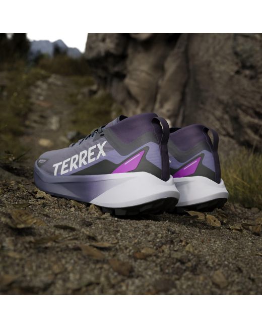 Adidas Blue Terrex Agravic Gtx Trail Running Shoes