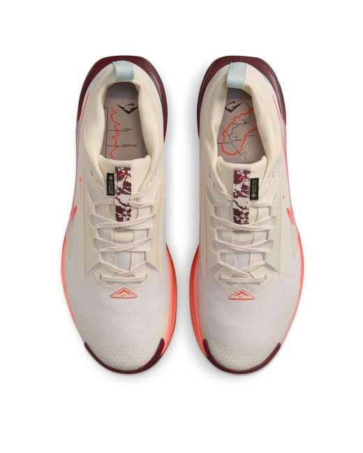 Nike Pink Pegasus Trail 5 Gore-Tex Running Shoes for men