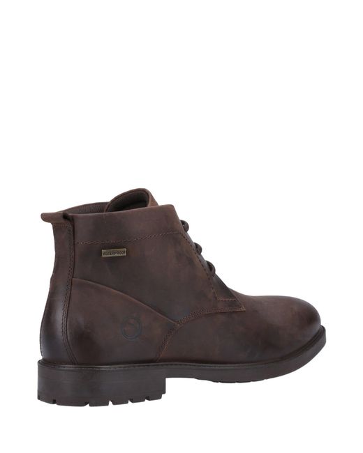 Cotswold Brown Beckford Boots for men