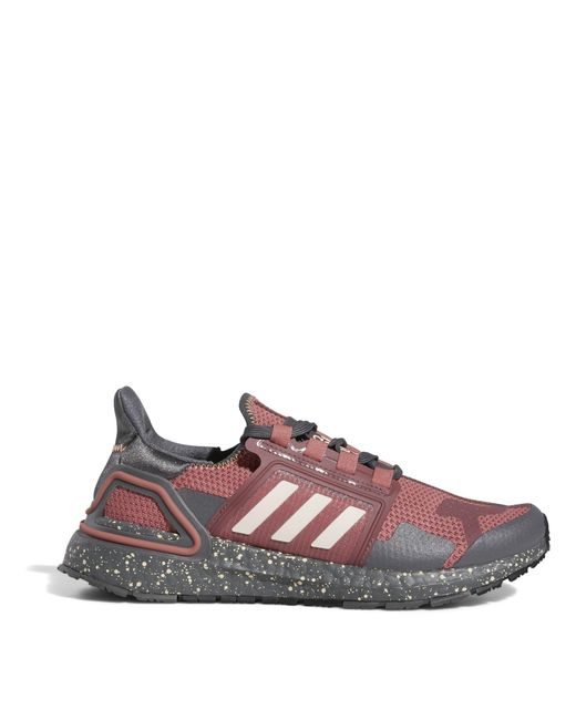 Adidas Multicolor Off-Road Trail Running Shoes