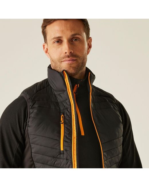 Regatta Black Navigate Hybrid Bodywarmer for men