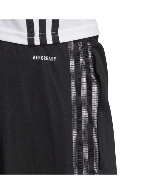 Adidas Black Trio 21 Tracksuit Bottoms for men