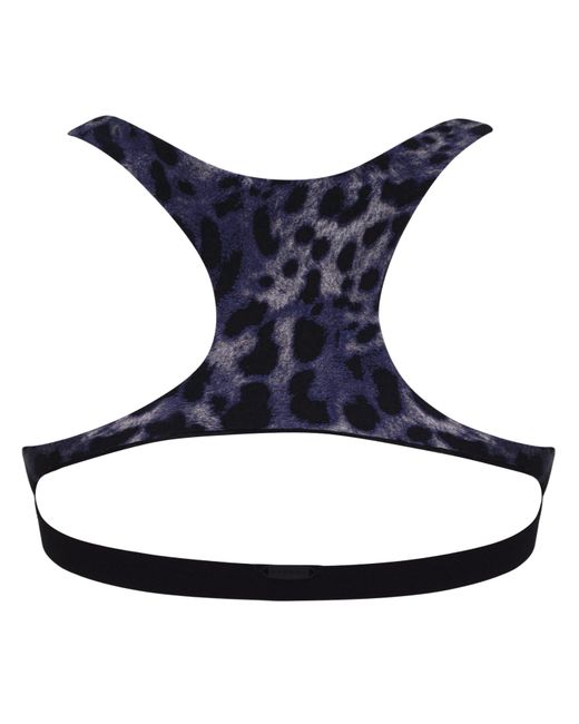 Koral Blue Tax Cheetah Bra