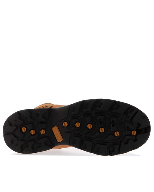 Timberland Brown Ledge Waterpoof Mid Hiking Boots for men