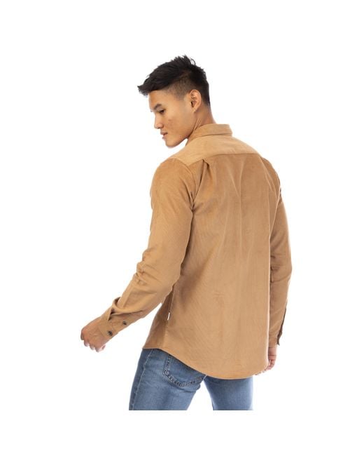 Peter Werth Brown Bicknell Long Sleeve Plain Shirt for men