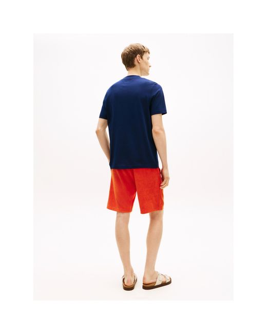 Tommy Hilfiger Blue T-Shirt for men