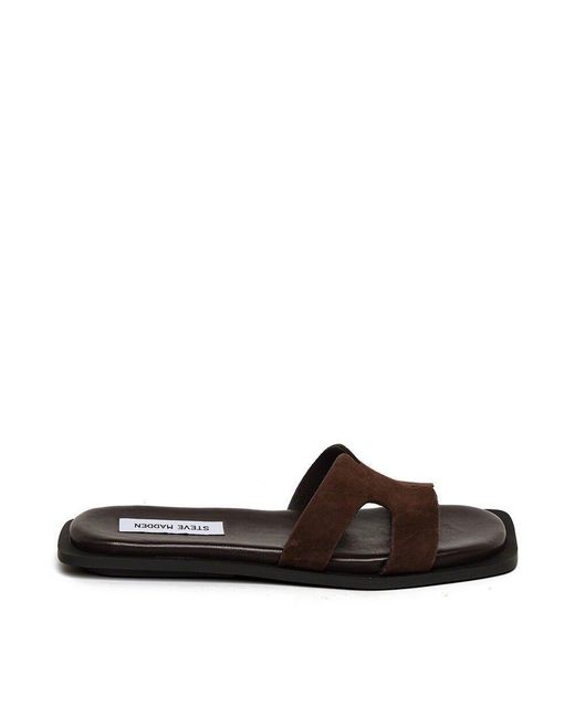 Steve Madden Brown Flat Sandals