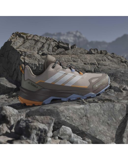 Adidas Brown Terrex Skychaser Ax5 Gore-Tex Hiking Shoes