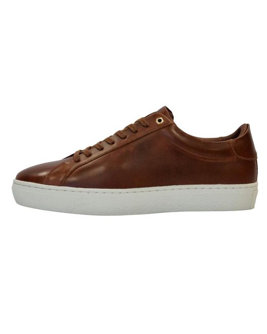 Firetrap Brown Franck Low Trainers for men