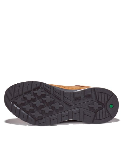 Timberland Brown Field Trekker Mid Boots for men