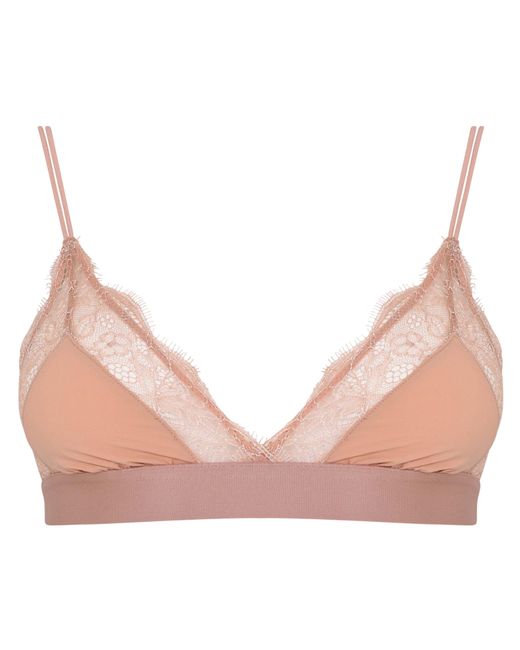 LoveStories Pink Lovelace Bralette