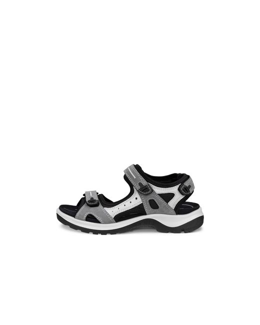 Ecco Black Seasonal Walking Sandals