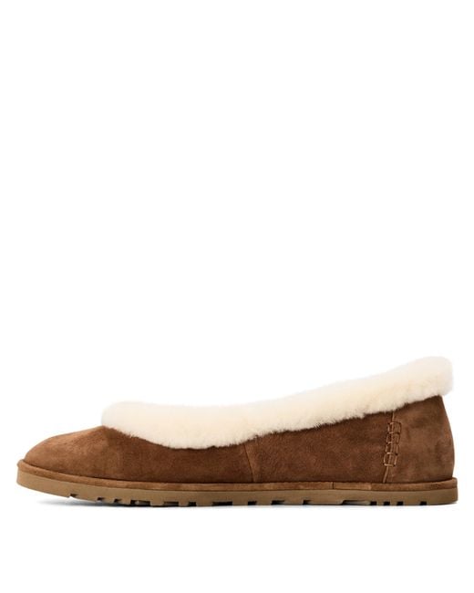 Ugg Brown Zora Ballet Flat Ld64