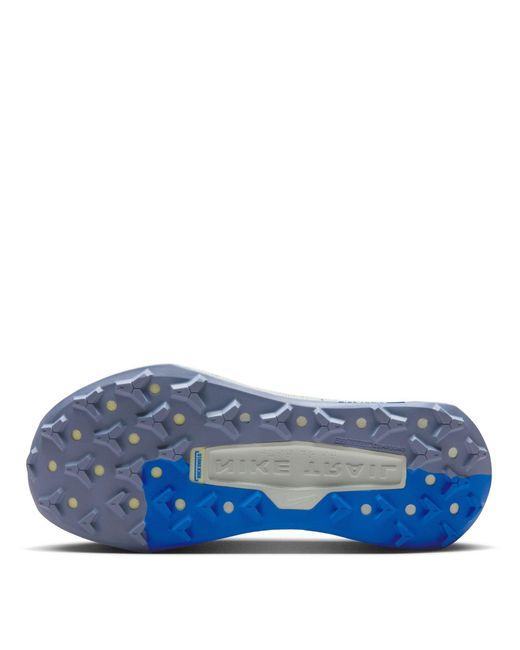Nike Blue Wildhorse 10 Trail Running Shoes