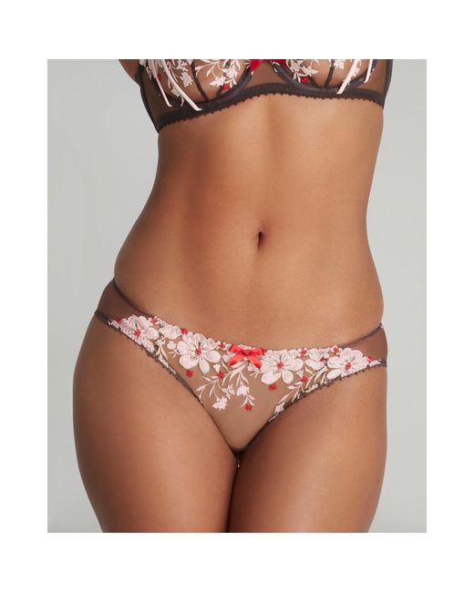 Agent Provocateur Brown Dawne Full Brief