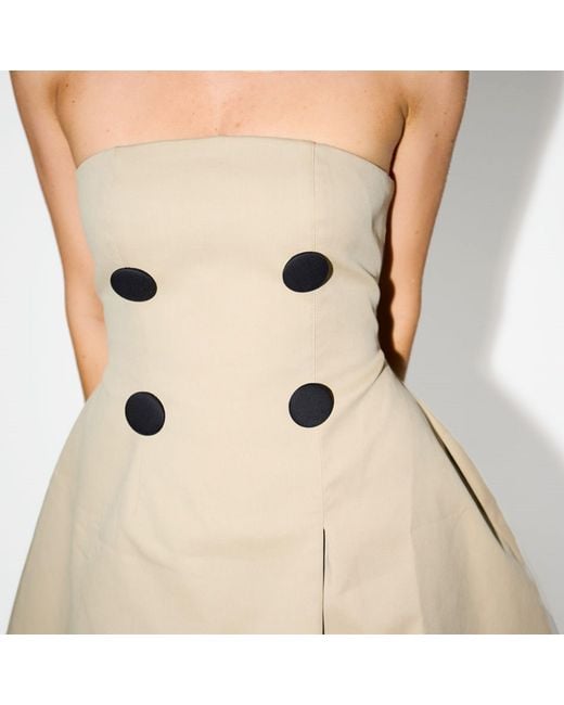 Odd Muse Natural The Ultimate Muse Trench Mini Dress