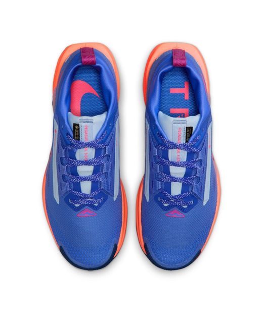 Nike Blue Pegasus Trail 5 Gore-Tex Running Shoes