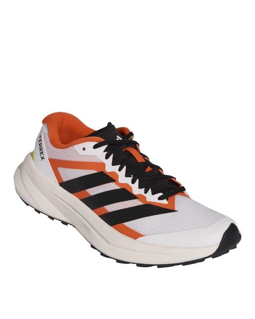 Adidas Multicolor Off-Road Trail Running Shoes