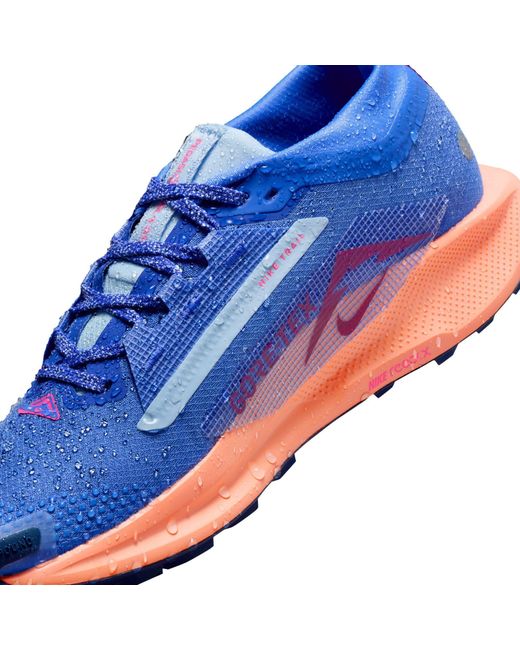 Nike Blue Pegasus Trail 5 Gore-Tex Running Shoes