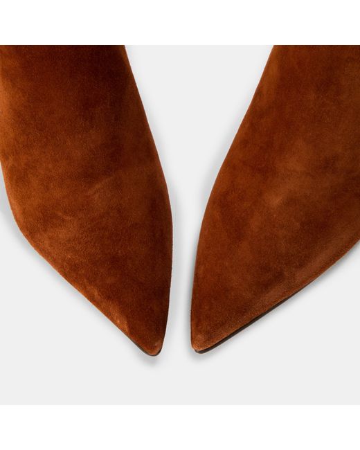 Steve Madden Brown Sabine Ankle Heeled Boots