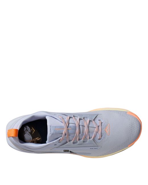 Nike Blue Pegasus Trail 5 Gore-Tex Running Shoes for men