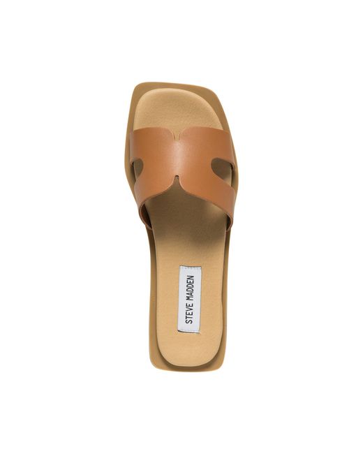 Steve Madden Brown Flat Sandals