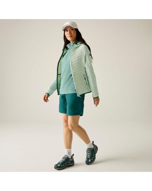 Regatta Green Andreson Water Resistant Hooded Long Sleeve Insulated Puffer Jacket